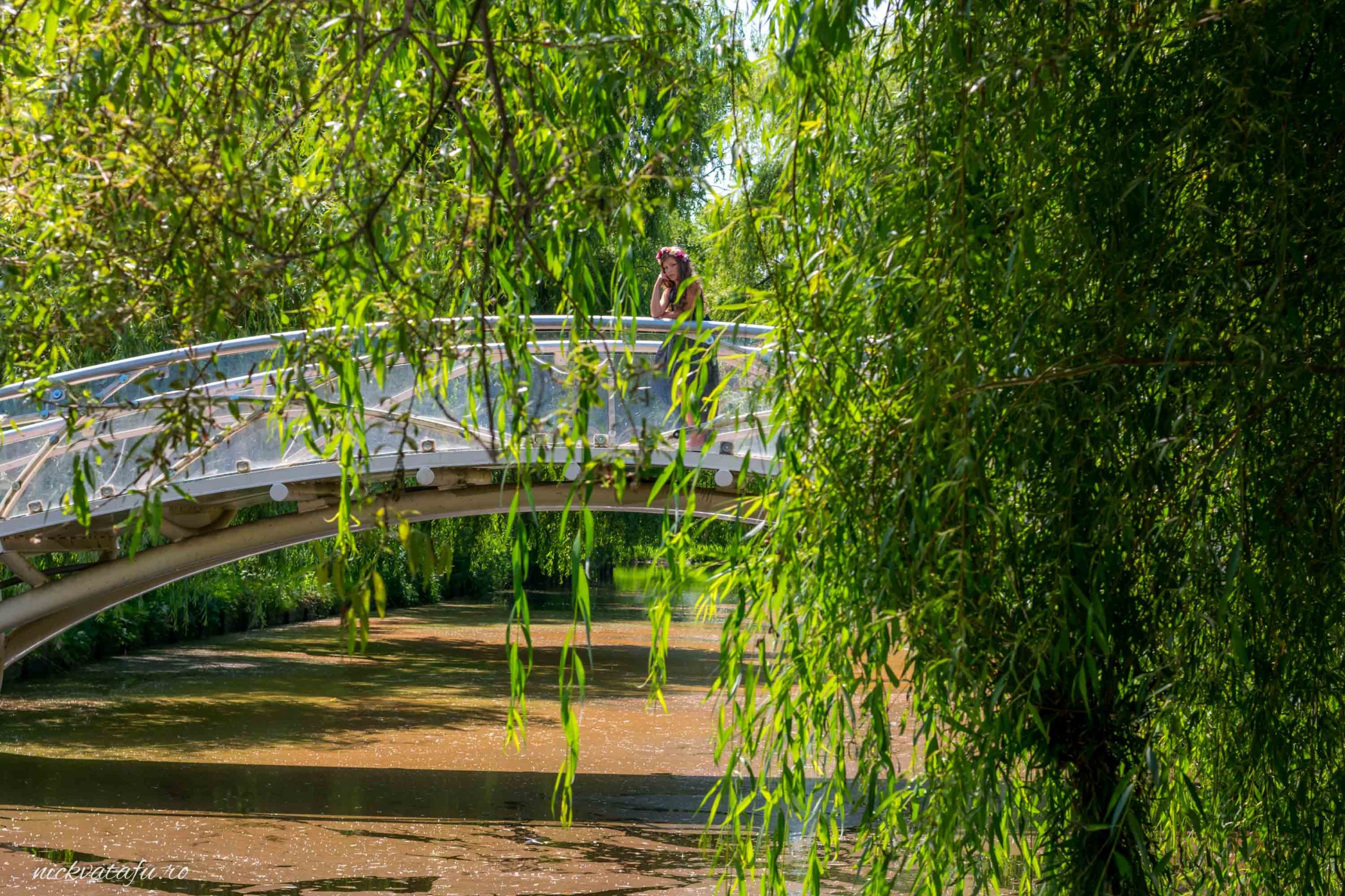 Mire și mireasă pe un pod de lemn, înconjurați de natură, fotografia de nuntă emană emoție și romantism.