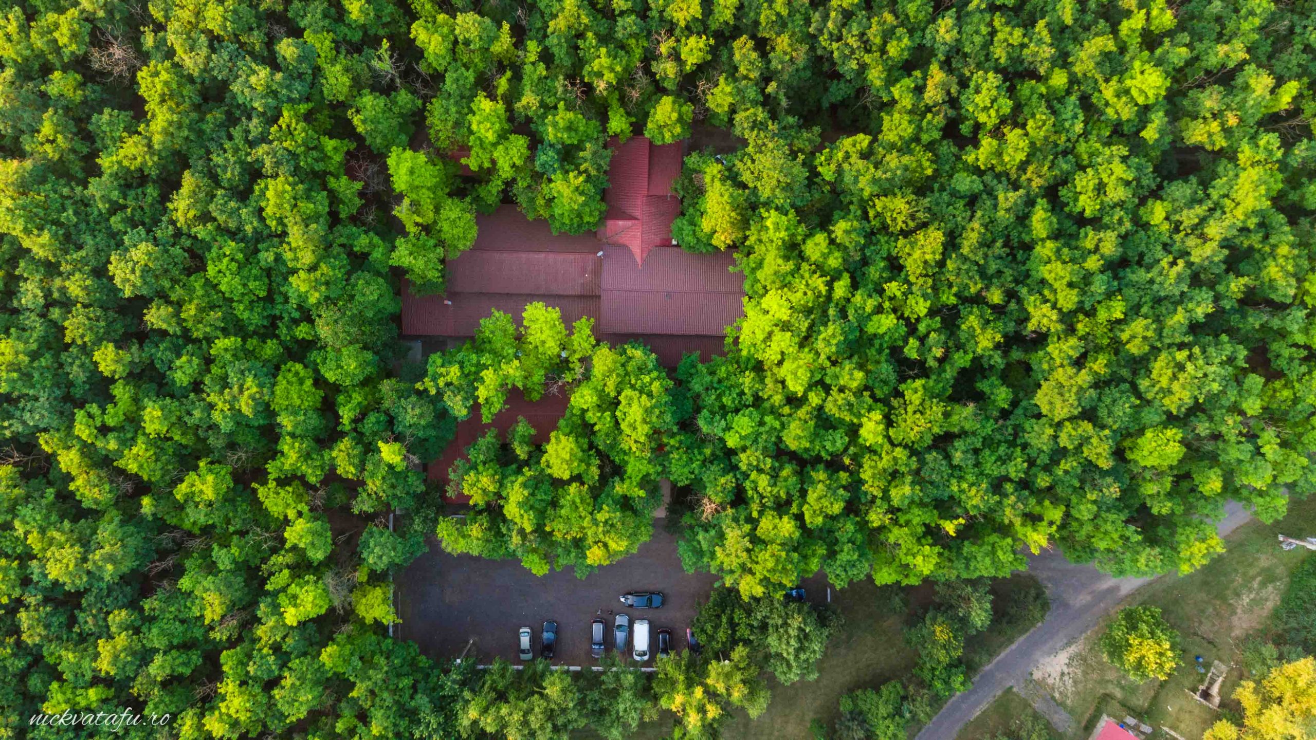 Locație idilică în mijlocul naturii, acoperită de copaci verzi, ideală pentru o fotografie de nuntă sau un botez.